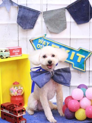 20230430心音ちゃん